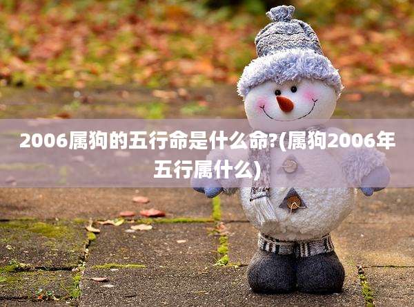 2006属狗的五行命是什么命?(属狗2006年五行属什么)