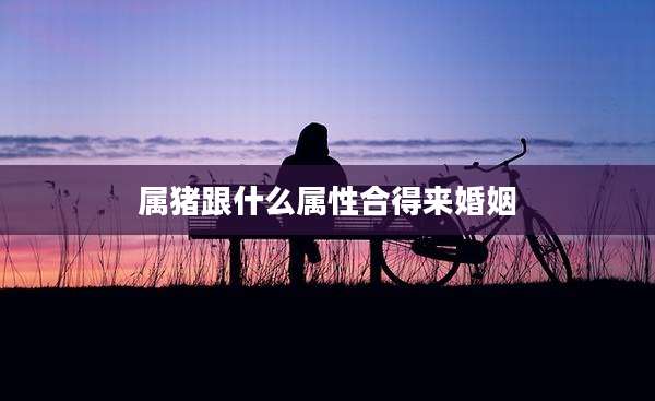 属猪跟什么属性合得来婚姻
