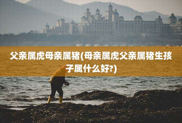 父亲属虎母亲属猪(母亲属虎父亲属猪生孩子属什么好?)