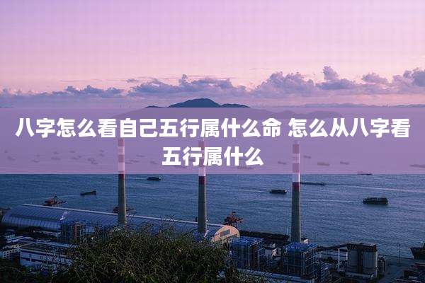 八字怎么看自己五行属什么命 怎么从八字看五行属什么