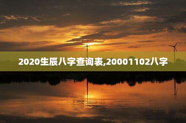 2020生辰八字查询表,20001102八字