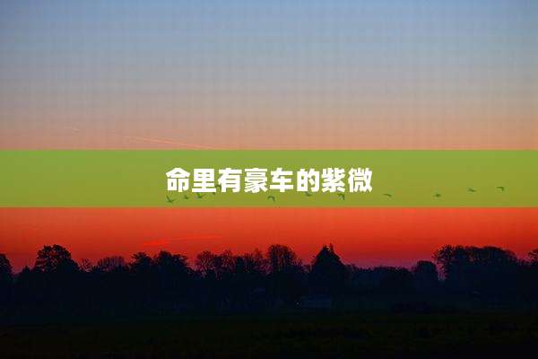 命里有豪车的紫微