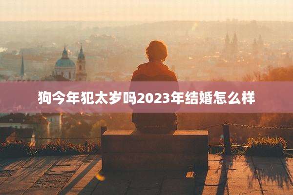 狗今年犯太岁吗2023年结婚怎么样