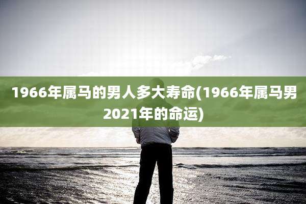 1966年属马的男人多大寿命(1966年属马男2021年的命运)