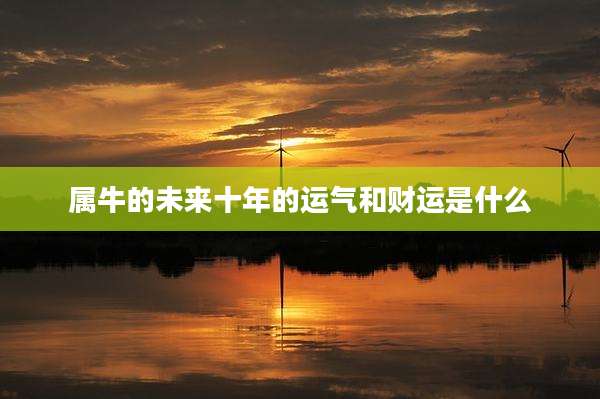 属牛的未来十年的运气和财运是什么