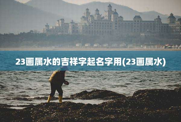 23画属水的吉祥字起名字用(23画属水)