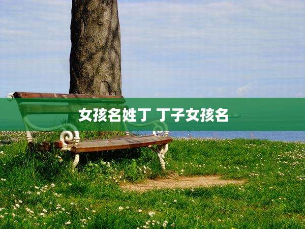 女孩名姓丁 丁子女孩名