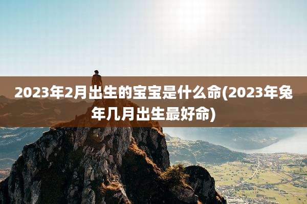 2023年2月出生的宝宝是什么命(2023年兔年几月出生最好命)