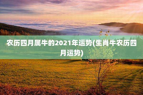 农历四月属牛的2021年运势(生肖牛农历四月运势)