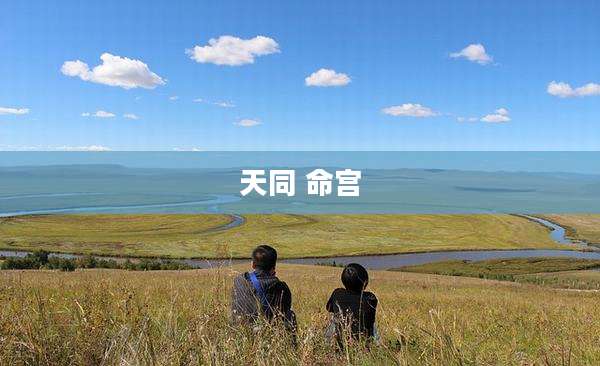 天同 命宫