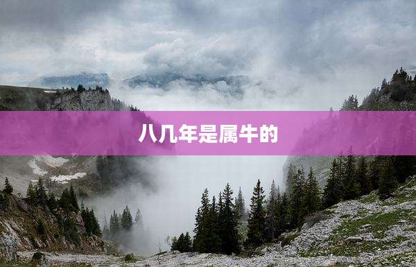 八几年是属牛的