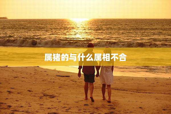 属猪的与什么属相不合