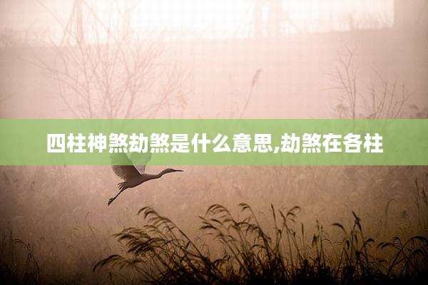 四柱神煞劫煞是什么意思,劫煞在各柱