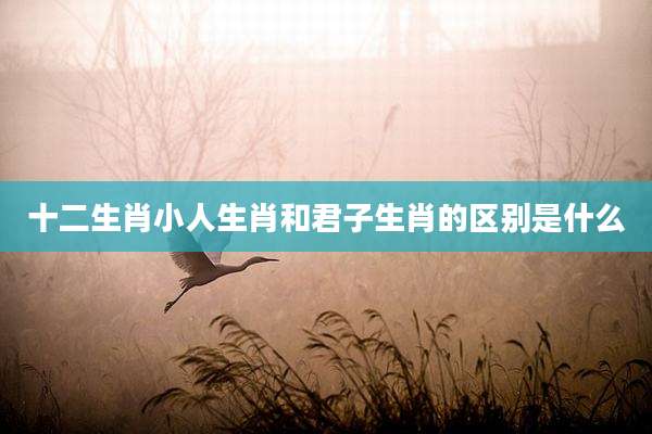 十二生肖小人生肖和君子生肖的区别是什么