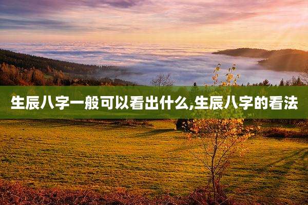 生辰八字一般可以看出什么,生辰八字的看法