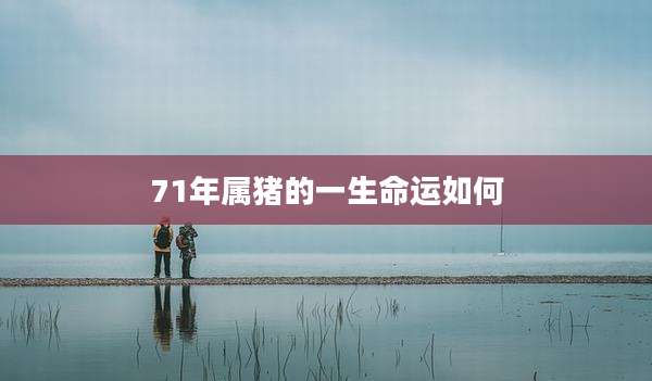 71年属猪的一生命运如何