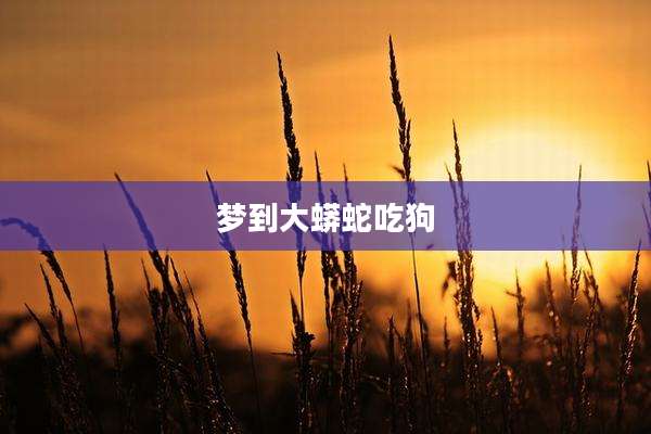 梦到大蟒蛇吃狗