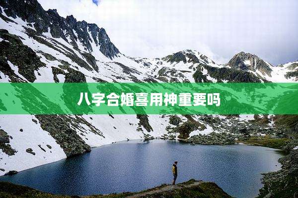 八字合婚喜用神重要吗