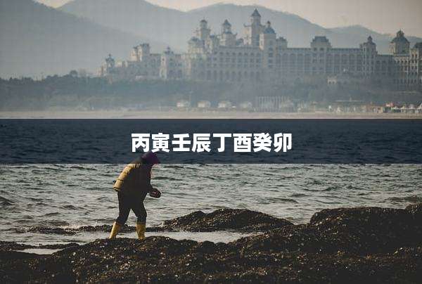 丙寅壬辰丁酉癸卯