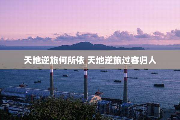 天地逆旅何所依 天地逆旅过客归人