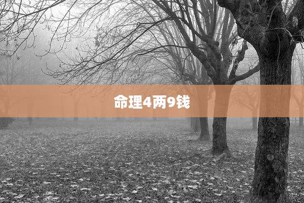 命理4两9钱