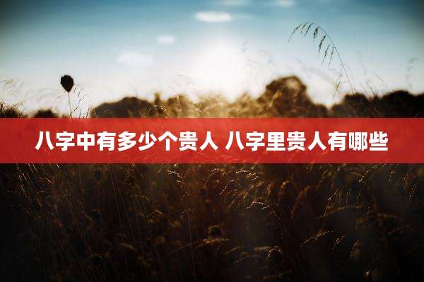 八字中有多少个贵人 八字里贵人有哪些