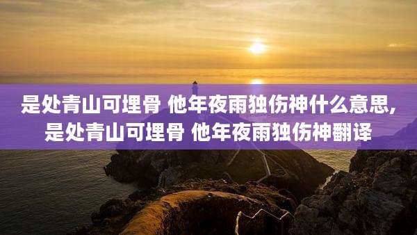 是处青山可埋骨 他年夜雨独伤神什么意思,是处青山可埋骨 他年夜雨独伤神翻译