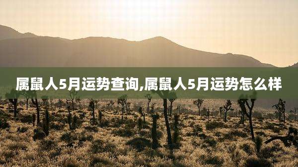属鼠人5月运势查询,属鼠人5月运势怎么样