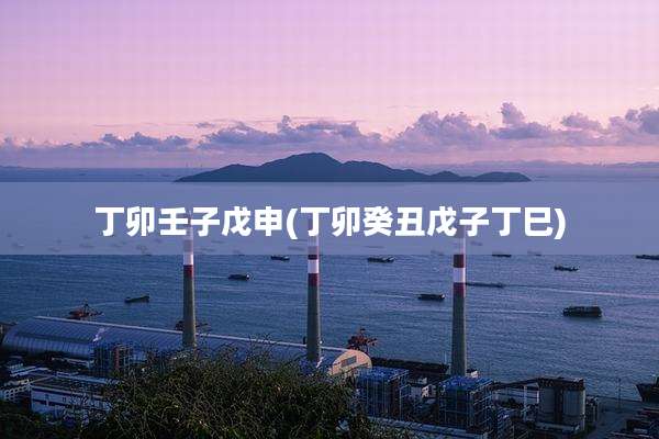 丁卯壬子戊申(丁卯癸丑戊子丁巳)