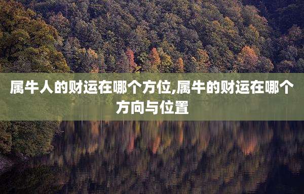 属牛人的财运在哪个方位,属牛的财运在哪个方向与位置