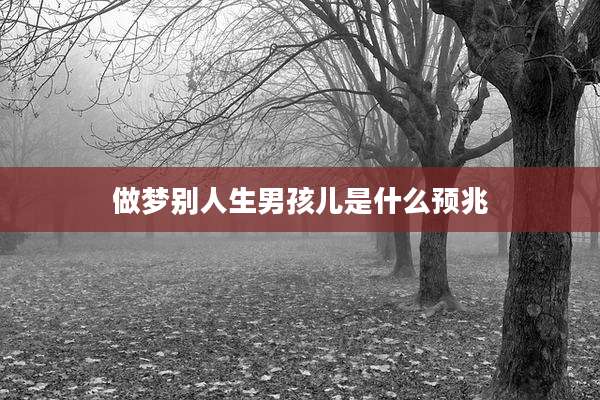 做梦别人生男孩儿是什么预兆