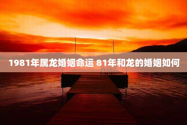1981年属龙婚姻命运 81年和龙的婚姻如何