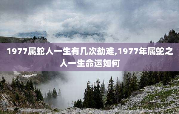 1977属蛇人一生有几次劫难,1977年属蛇之人一生命运如何