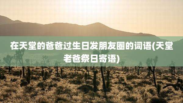 在天堂的爸爸过生日发朋友圈的词语(天堂老爸祭日寄语)