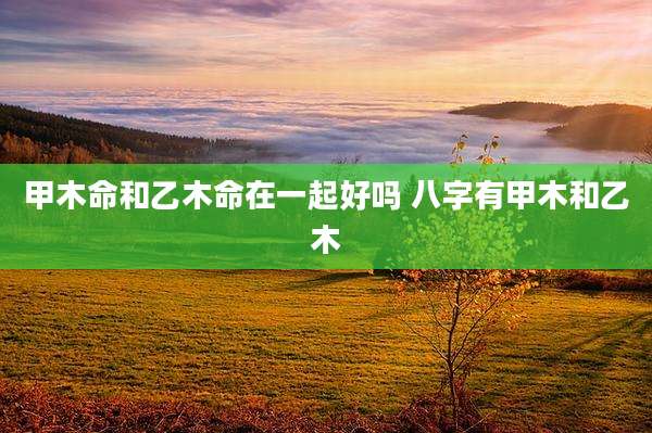 甲木命和乙木命在一起好吗 八字有甲木和乙木