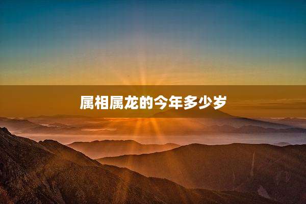 属相属龙的今年多少岁