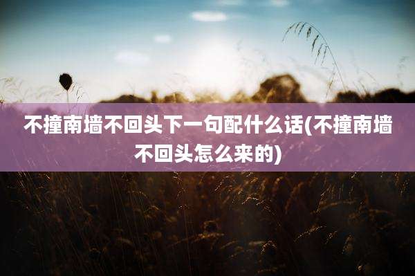 不撞南墙不回头下一句配什么话(不撞南墙不回头怎么来的)