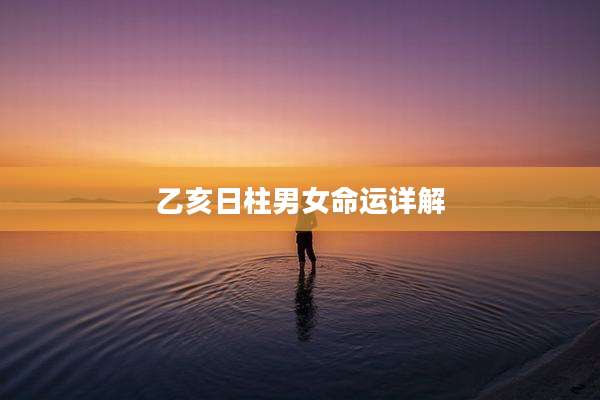 乙亥日柱男女命运详解