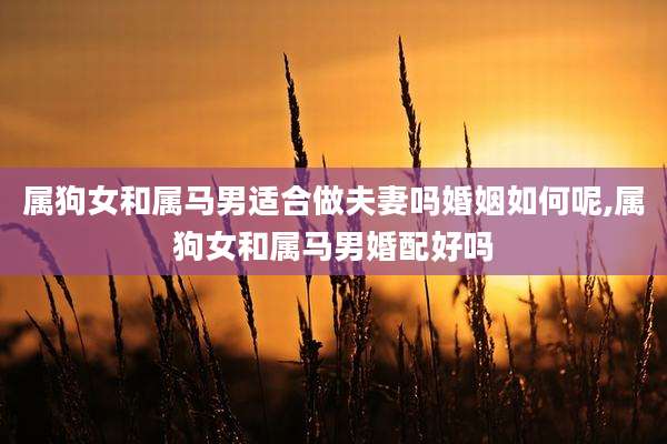 属狗女和属马男适合做夫妻吗婚姻如何呢,属狗女和属马男婚配好吗