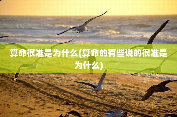 算命很准是为什么(算命的有些说的很准是为什么)