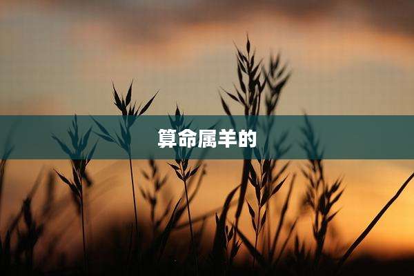 算命属羊的
