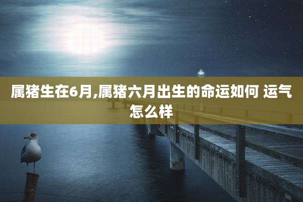 属猪生在6月,属猪六月出生的命运如何 运气怎么样