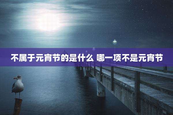 不属于元宵节的是什么 哪一项不是元宵节