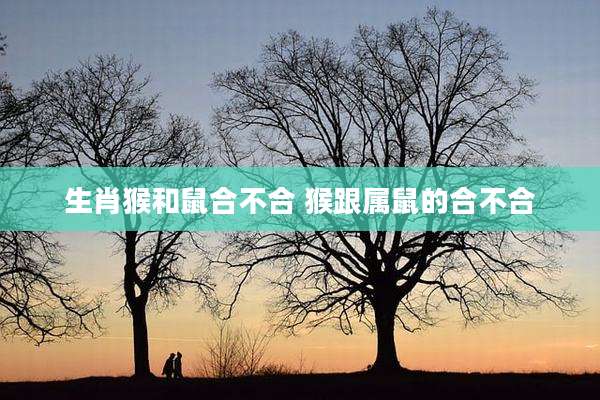 生肖猴和鼠合不合 猴跟属鼠的合不合