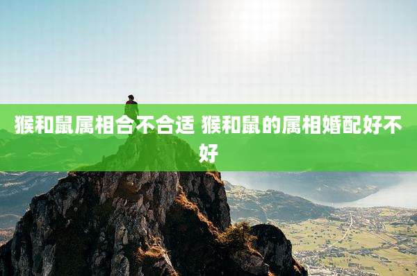 猴和鼠属相合不合适 猴和鼠的属相婚配好不好