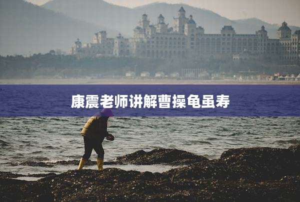 康震老师讲解曹操龟虽寿
