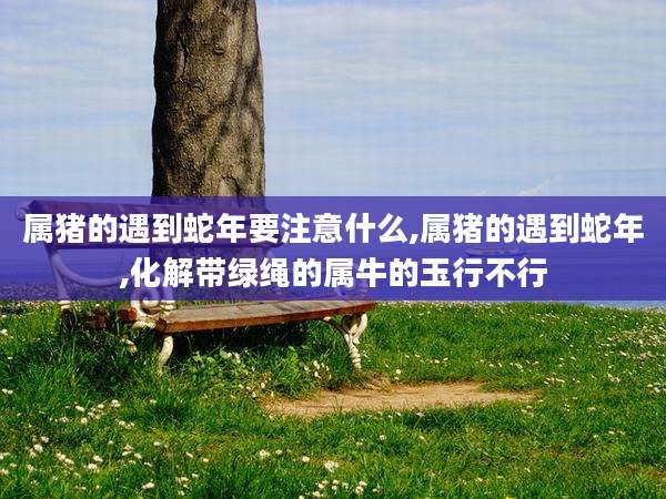 属猪的遇到蛇年要注意什么,属猪的遇到蛇年,化解带绿绳的属牛的玉行不行