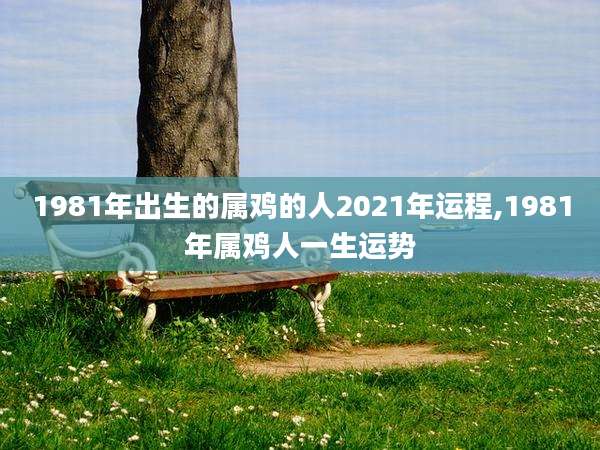 1981年出生的属鸡的人2021年运程,1981年属鸡人一生运势