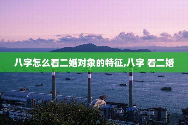 八字怎么看二婚对象的特征,八字 看二婚