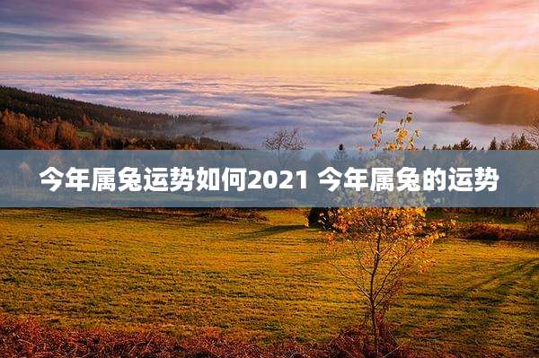 今年属兔运势如何2021 今年属兔的运势